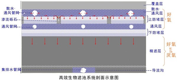 高效生物滤池系统剖面示意图